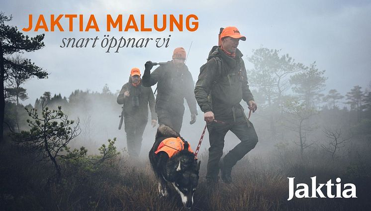 Malung_Top.JPG