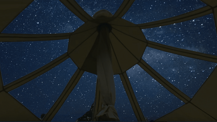 W-Design uden navn (3).png