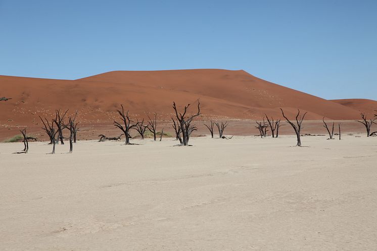 Namibia