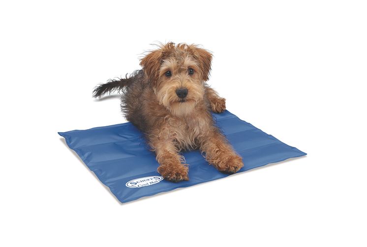 ArkenZoo_Scruffs cooling mat_3.jpg