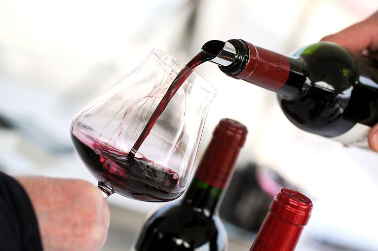 10919881-tasting-wine-in-a-vinery