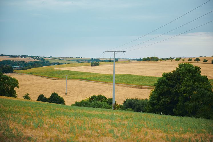 StromleitungFeld_a_Feld_Mast