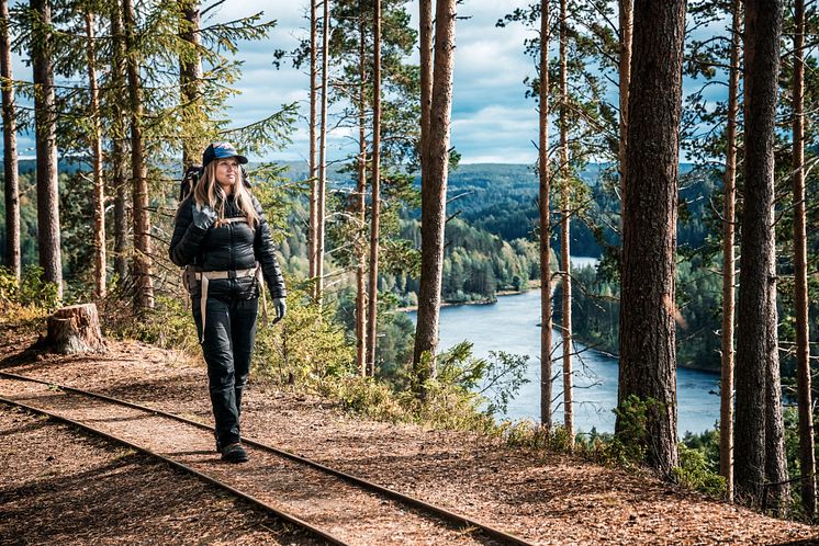 Vandring vid Nämforsen