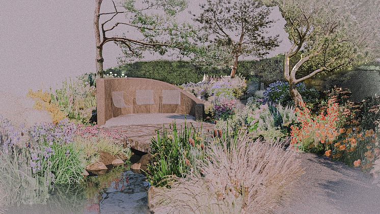 Stroke Association Garden for Recovery Press Image (2)