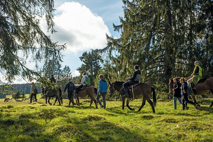 MaultiertrekkingImBernerJura(c)SchweizTourismus_MarkusBuehler