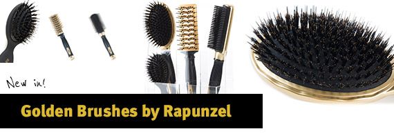 Golden Brushes by Rapunzel