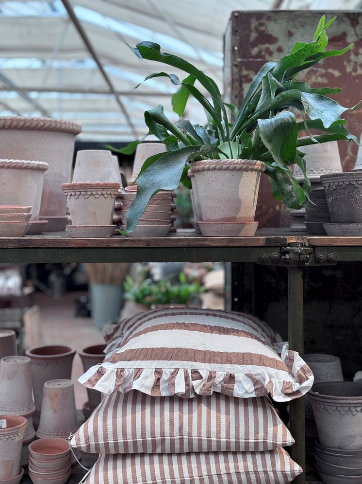 Trädgårdsdagarna Hedentorps plantskola pop up