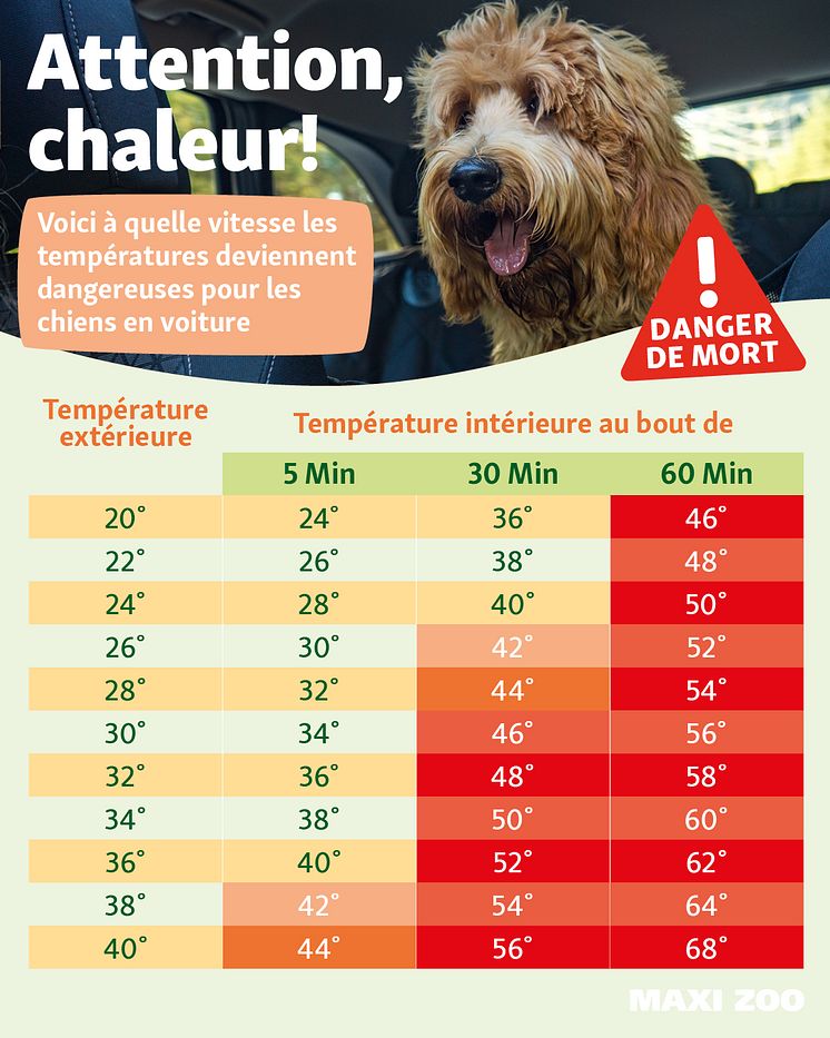 Infographie_temperature_voiture