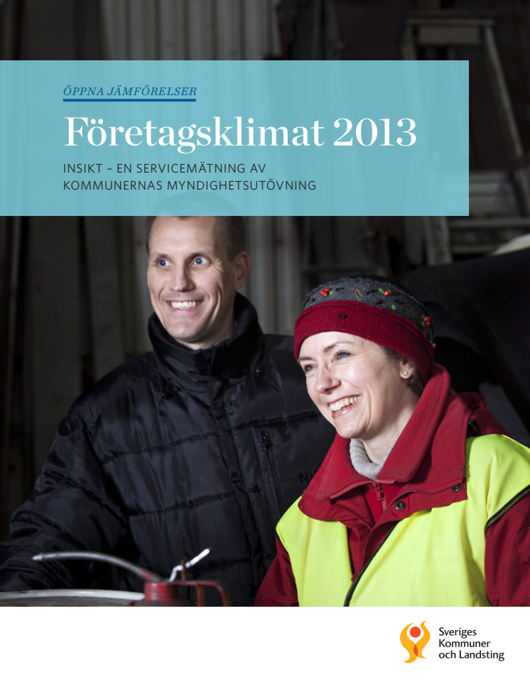 Företagsklimat 2013, Insikt - en servicemätning av kommunernas myndighetsutövning
