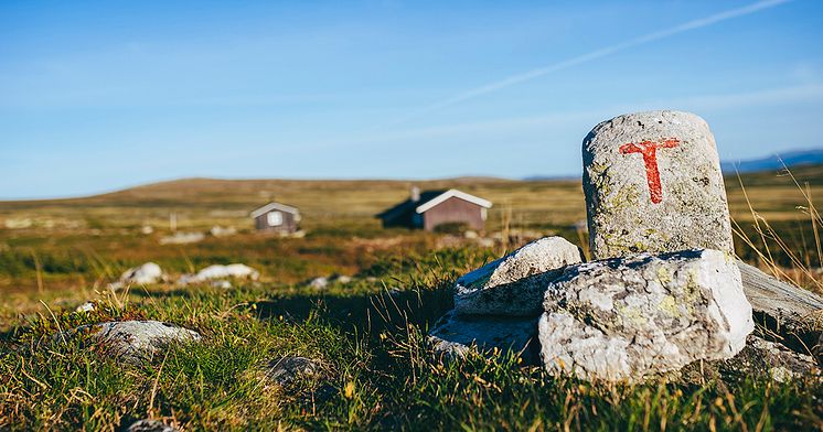 Den Norske Turistforening (DNT) er Norges største friluftslivsorganisasjon med over 300.000 medlemmer.  Foto: Marius Dalseg Sætre