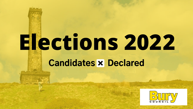 Voting and election graphics (2).png