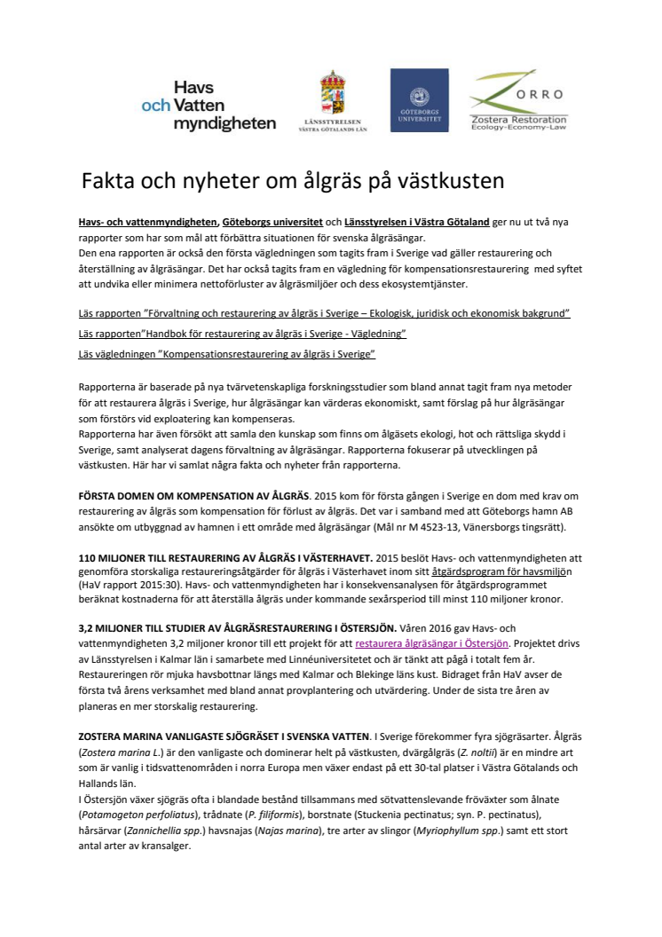 Fakta och nyheter om ålgräs på västkusten
