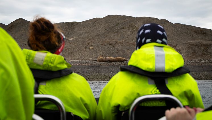 Rib boat safari walrus in Borebukta, Svalbard - Photo-Håkon Daae Brensholm – Visit Svalbard.jpg