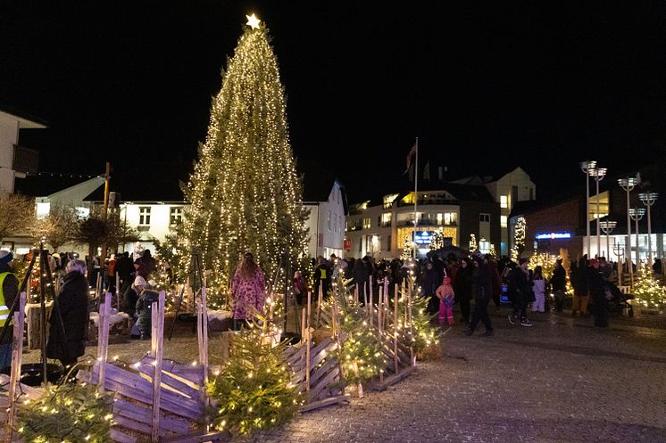 Julegrana på torget i Brumunddal.jpeg