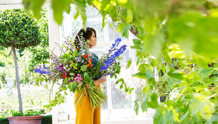 Blommor i Vinhuset 