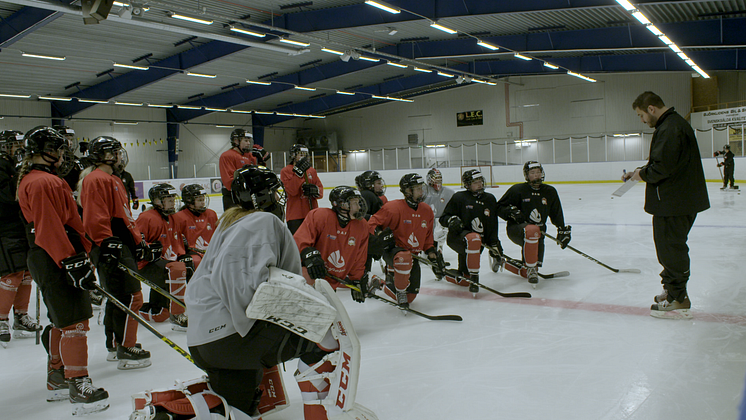 Malmö Redhawks