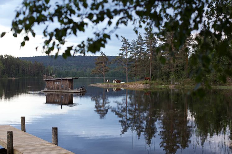 Värmland Naturbyn Foto Hanne Marit Tobiassen 17.jpg