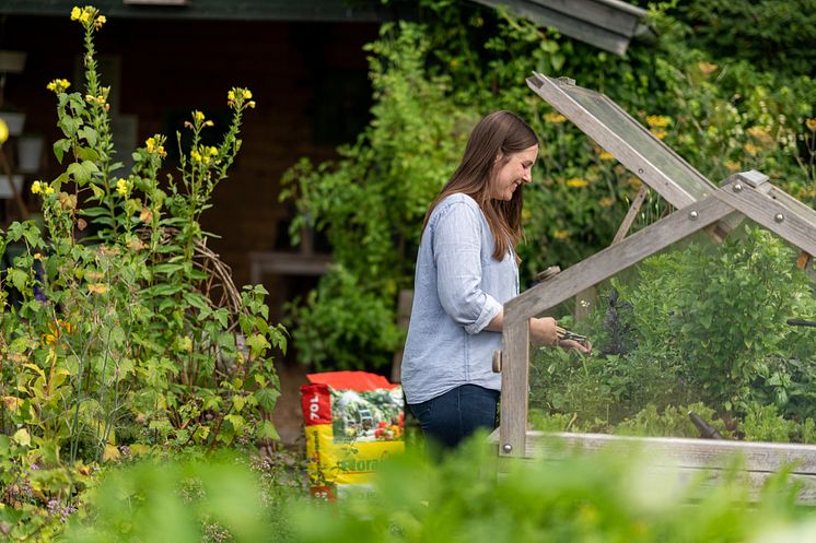 Floragard_Bio Hochbeet- und Gewächshauserde