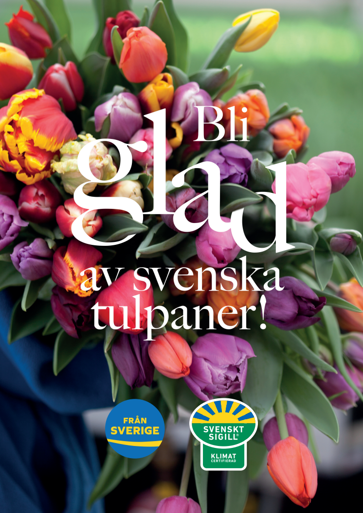 Annons Bli glad av svenska tulpaner 2021 - A1 poster för egen utskrift
