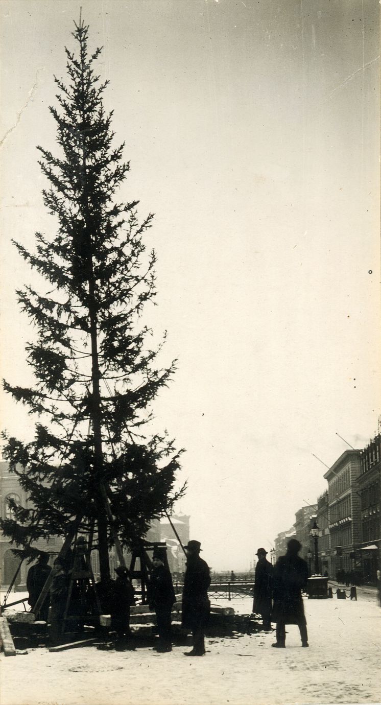 Julgran i Brunnsparken 1915