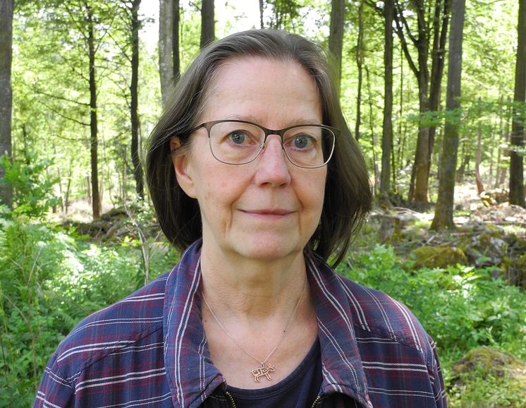 Lilian Ryd, hedersdoktor vid Luleå tekniska universitet