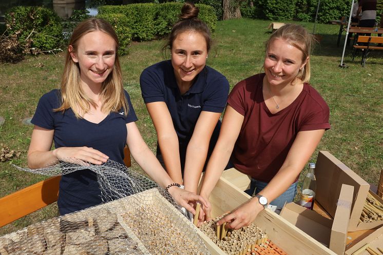 Aktionstag Bienenhotels