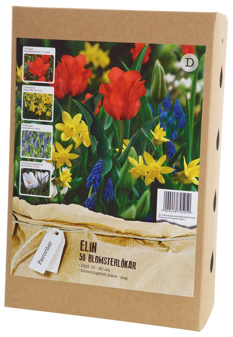 Blomsterlök vårblommande