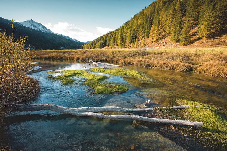 Biosfera Val Muestair © Schweiz Tourismus-Roland Gerth