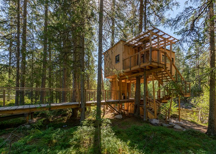 Å Auge Treetop House 3 - Photo - Aacamp.com.jpg