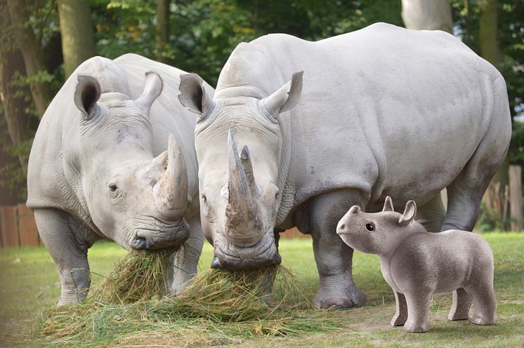 PLAYMOBIL und der Zoo Schwerin laden zum großen Zoo-Quiz ein