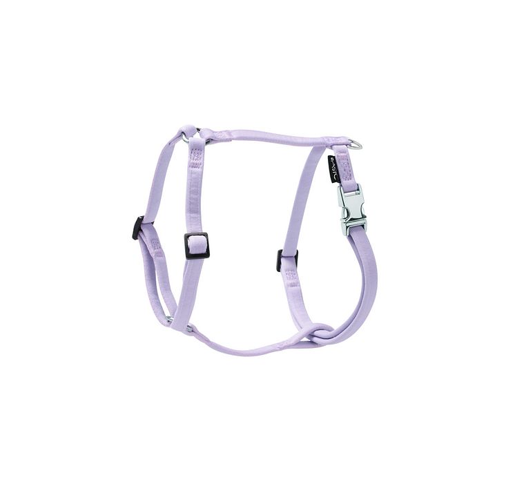 141864_Basic Sweet harness lavender.jpg