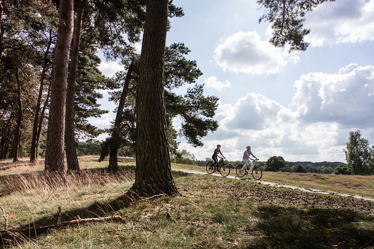 Römer-Lippe-Route_Westruper_Heide_Haltern_©Römer-Lippe-Route / Stratmann