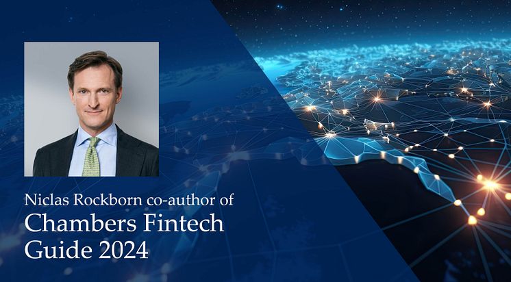 niclas chambers fintech guide LinkedIn_article.jpg