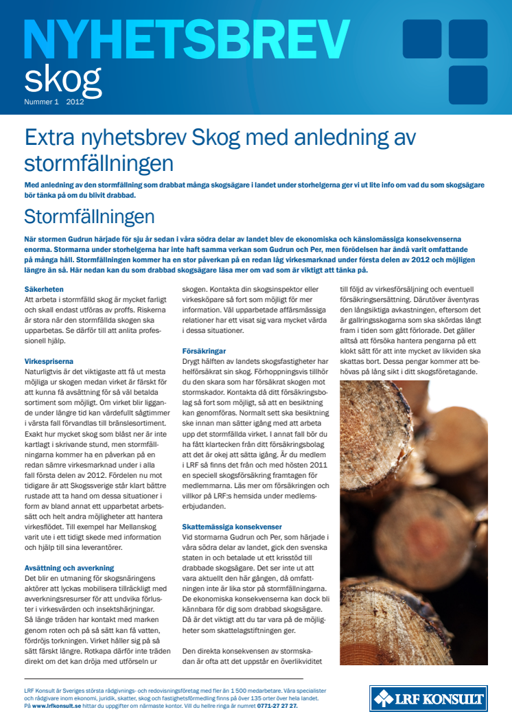 Extra nyhetsbrev Skog - stormfälld skog 