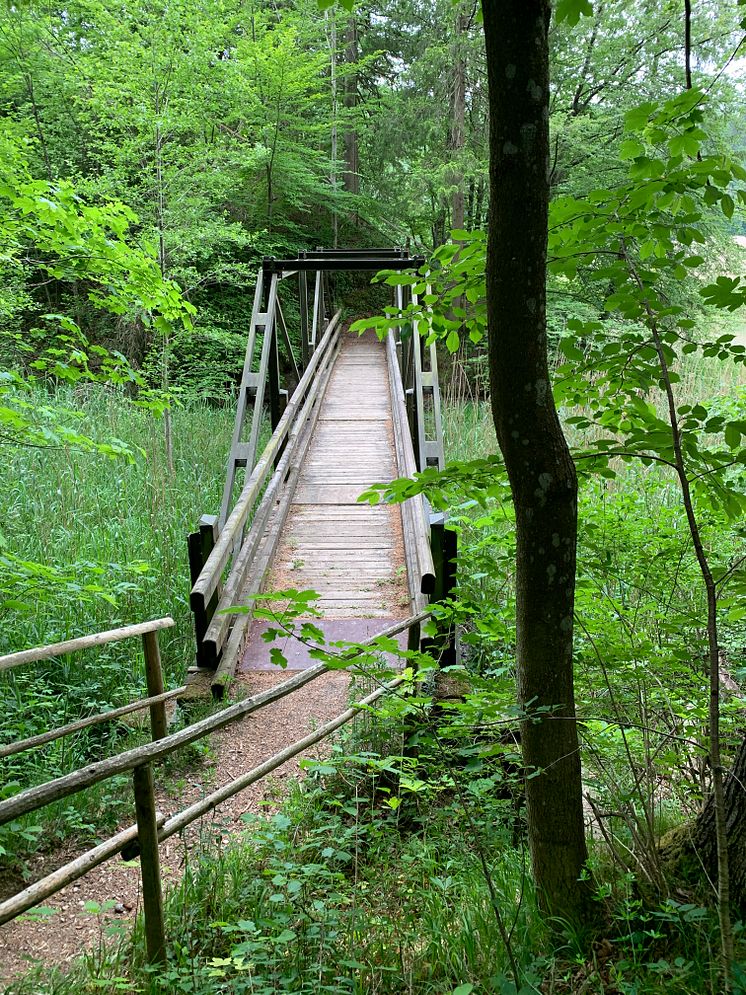 20220802_Brückensanierung bei Altusried