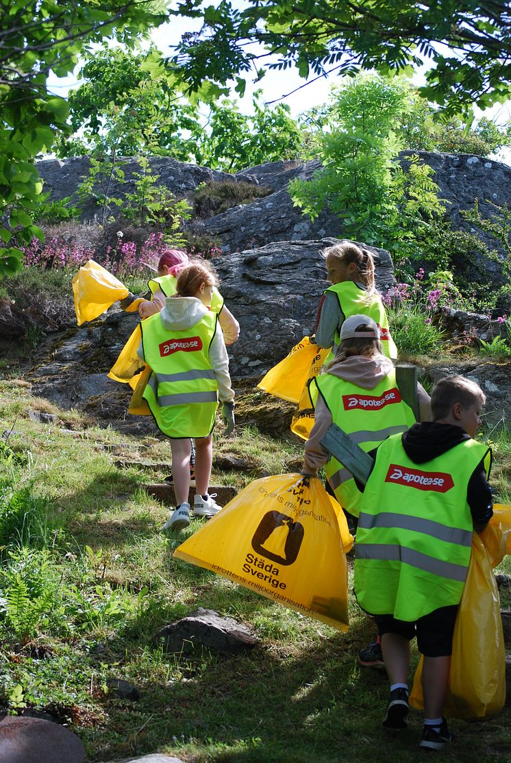 Städa Sverige Apotea Clean-Up Day på land arkiv2021