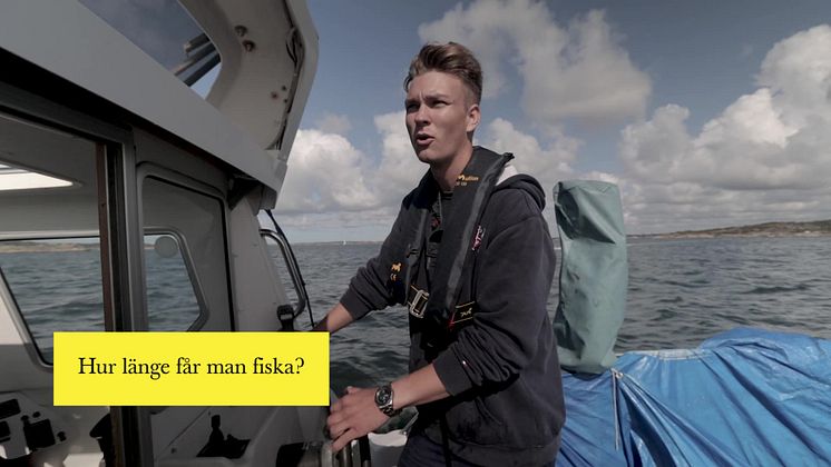Matteus Axelsson om de nya hummerfiskereglerna