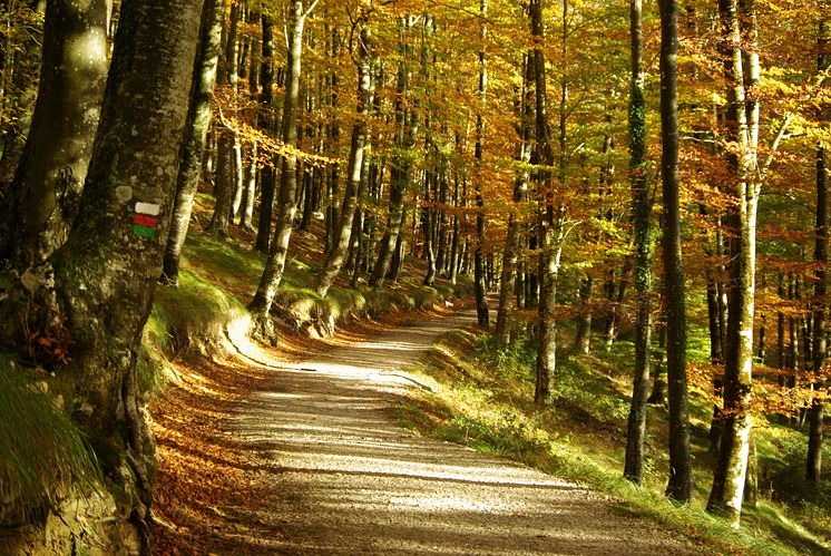 Oplev den smukke natur i Goierri, Guipúzcoa, Baskerlandet