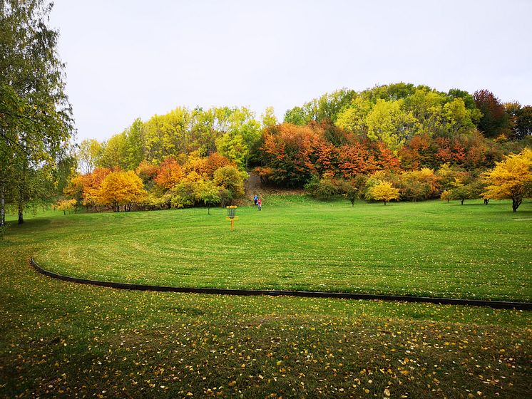 Järva DiscGolfPark