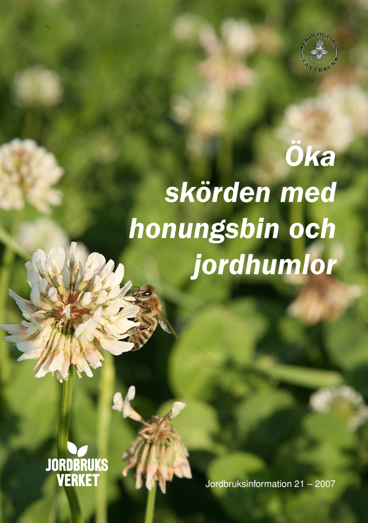 Öka skörden med bin och humlor/Jordbruksverket