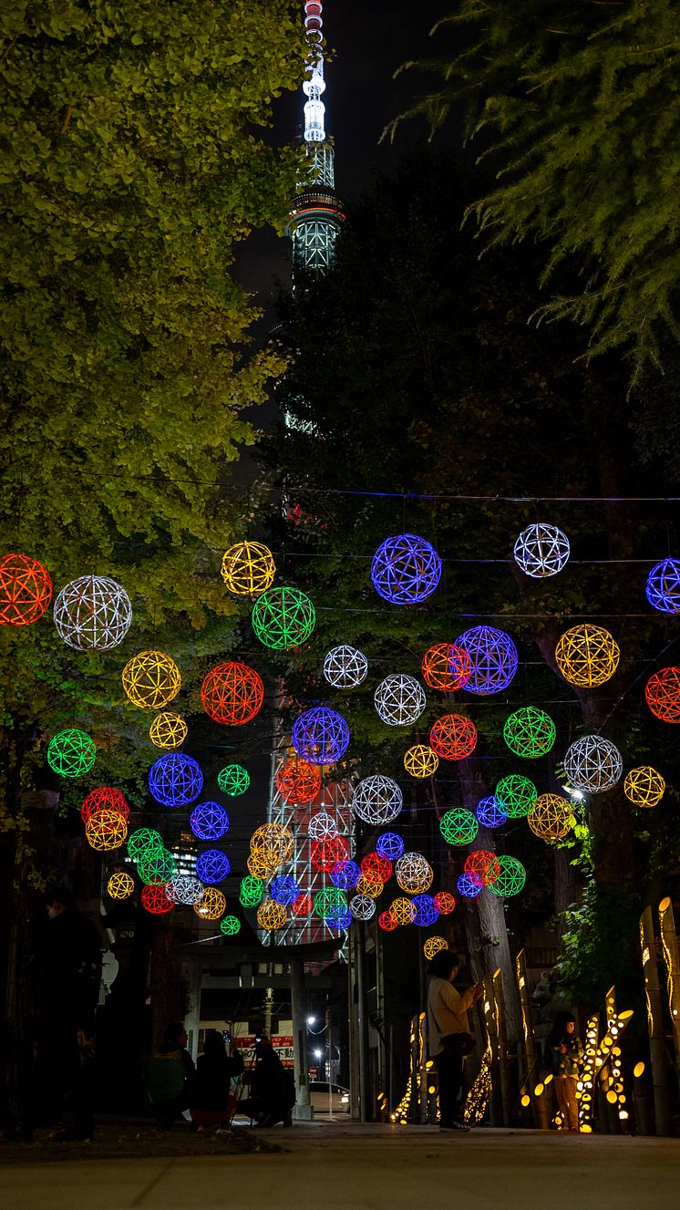 Colorfully Lit Bamboo Temari Balls & TOKYO SKYTREE