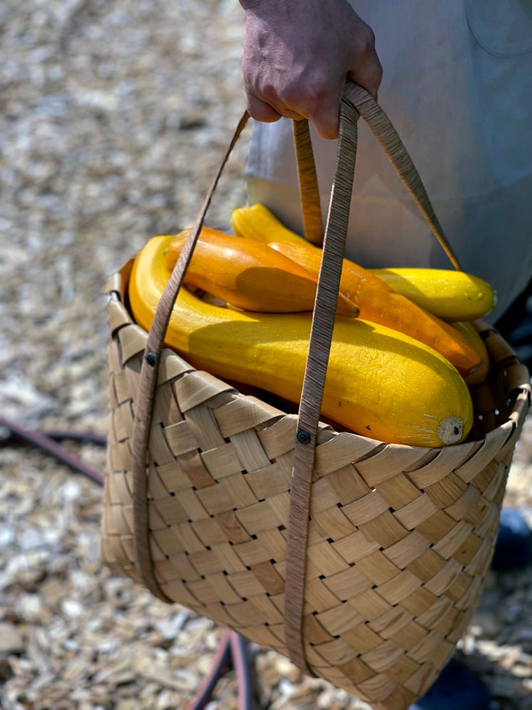 Görvälns Slott Zuccini