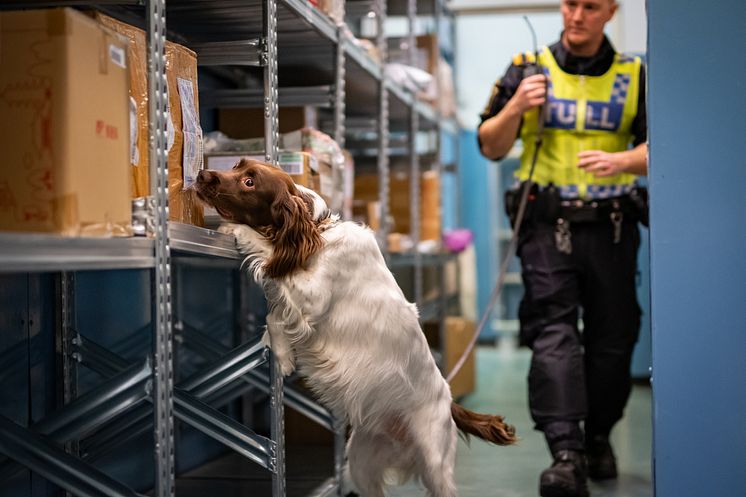 Årets anrkotikasökhund 2021