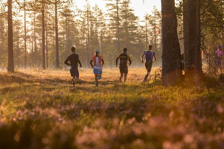 7000 löpare till Vasaloppsarenan lördag 20 augusti 2016