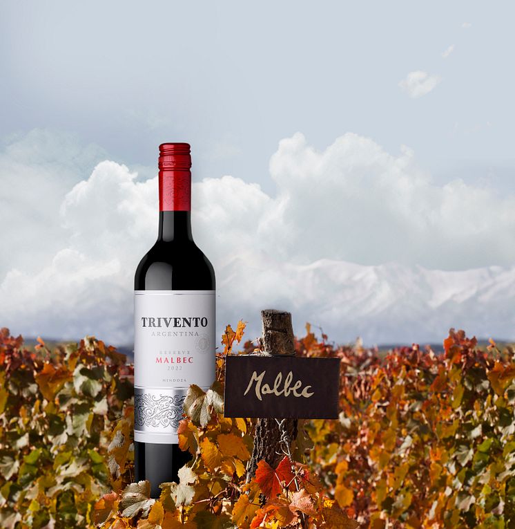 Trivento Reserve Malbec flaske i vinranker