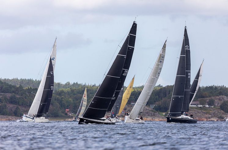 Tjörn Runt by Cowi 2024