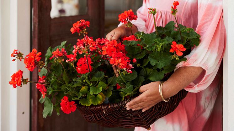 Blomsterfrämjandet_ÅP23_huvudbild_Foto Lina Arvidsson