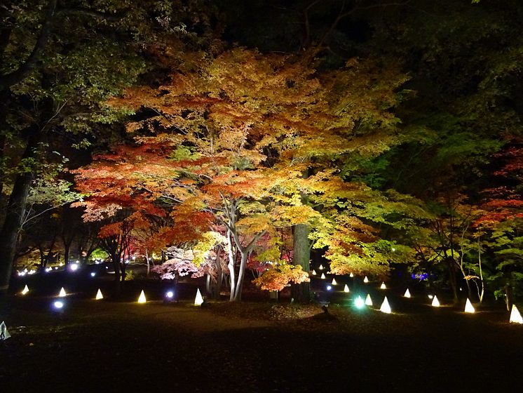 Musashi-Kyuryo National Government Park