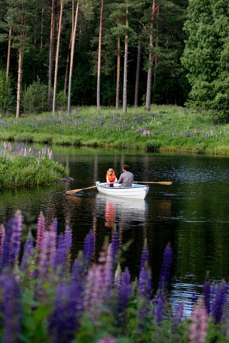 En stilla Smålandssjö