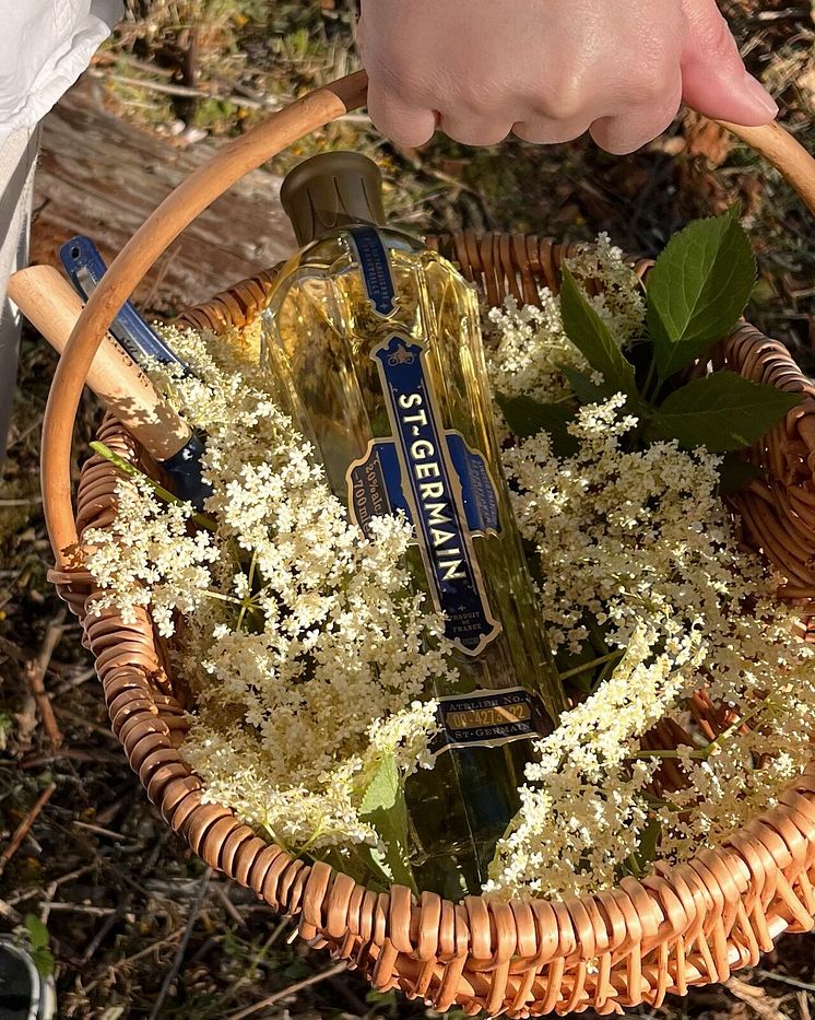 Global-St-Germain-Elderflower-